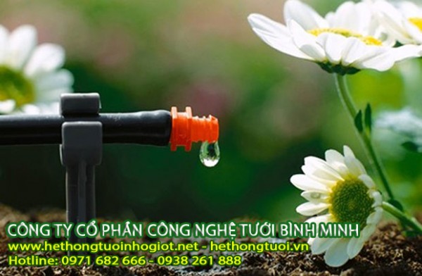 hệ thống tưới nhỏ giọt tây ban nha, đầu tưới nhỏ giọt bù áp, dây tưới nhỏ giọt bù áp