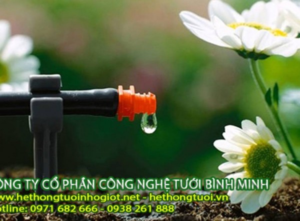Hệ thống tưới nhỏ giọt tiết kiệm nước,tưới nhỏ giọt tại Hà Nội,giá rẻ
