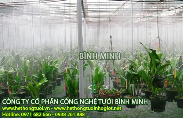 Hệ thống tưới phun sương cho lan, hệ thống tưới tự động,béc tưới phun sương nhập khẩu