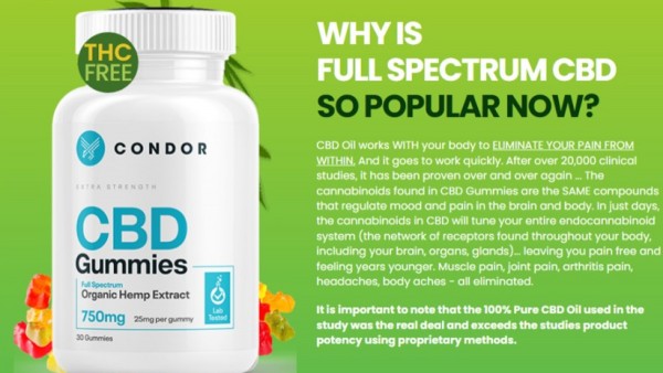 Here's What No One Tells You About Condor CBD Gummies?