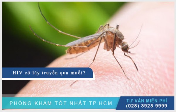 HIV có lây qua muỗi không