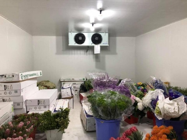 Hoàn thiện kho lạnh bảo quản hoa tươi tại Quận 7