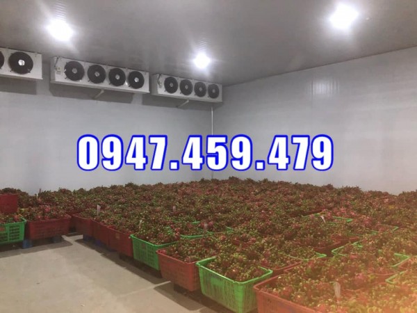 hoàn thiện kho lạnh bảo quản thanh long tại Long An