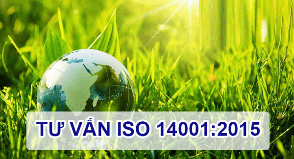 Hoạt động đào tạo và tư vấn áp dụng hệ thống quản lý môi trường theo tiêu chuẩn ISO 14001: 2015