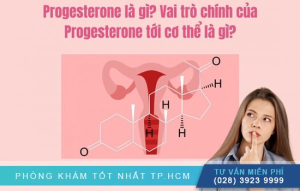 Hormone Progesterone ở nữ giới 