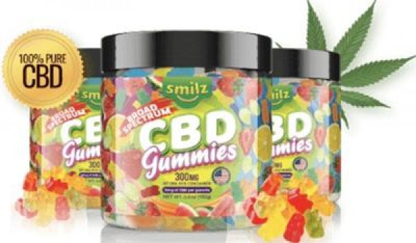 How does Smilz CBD Gummies assist with further developing ECS?