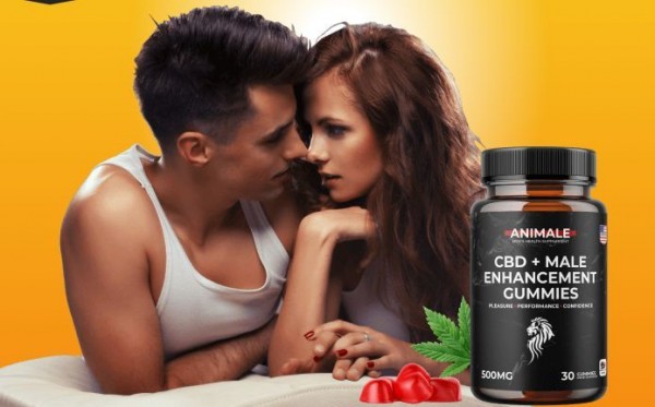 https://groups.google.com/g/animale-male-enhancement-health-benefits/c/ZG-kFMFXyFQ