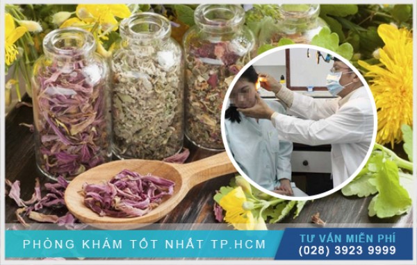 Hướng dẫn chữa viêm tai giữa bằng thảo dược