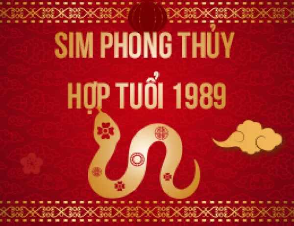 Hướng dẫn mua số điện thoại hợp tuổi Kỷ Tỵ giá rẻ tại Quảng Ninh