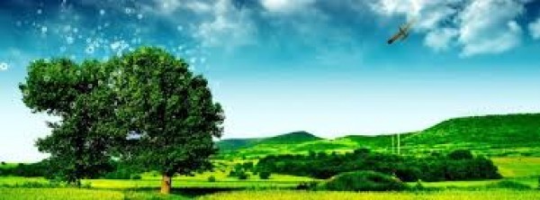 Hướng dẫn nạp tiền sàn Cex.io một cách cơ bản và hữu hiệu nhất