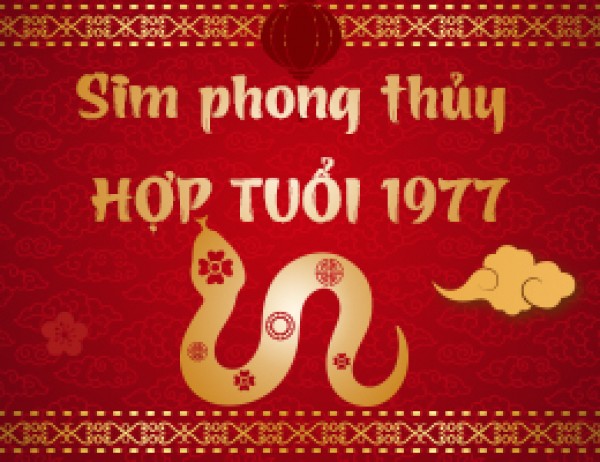 Hướng dẫn xem tử vi số điện thoại hợp tuổi 1977 bạn đang dùng