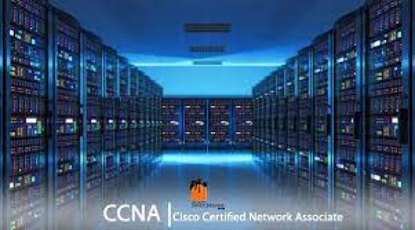 Is CCNA Training the Right Choice for Networking Professionals?