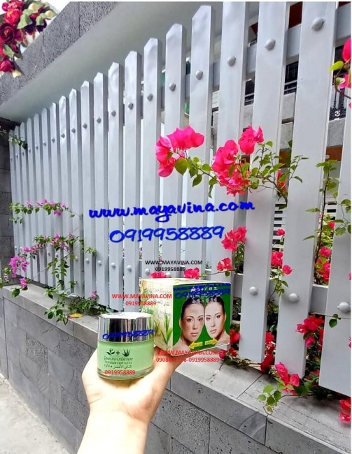 Kem Xudolaka trà xanh nha đam (green tea aloe) cao cấp trị mụn nám sạm tàn nhang 