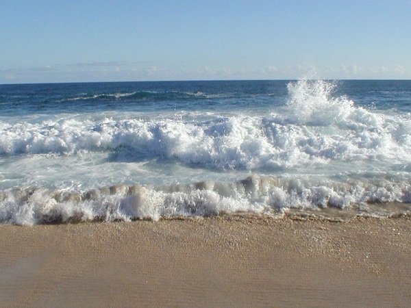 Khai thác điện từ sóng biển