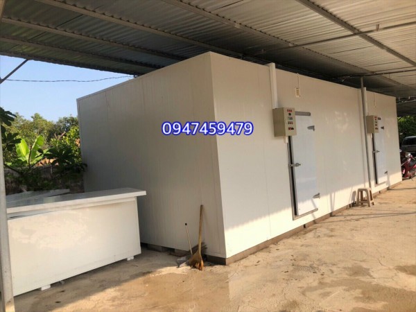kho lạnh bảo quản bao tử cá tại đồng tháp