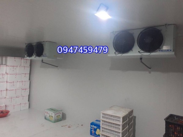 kho lạnh bảo quản bưởi da xanh tại tiền giang