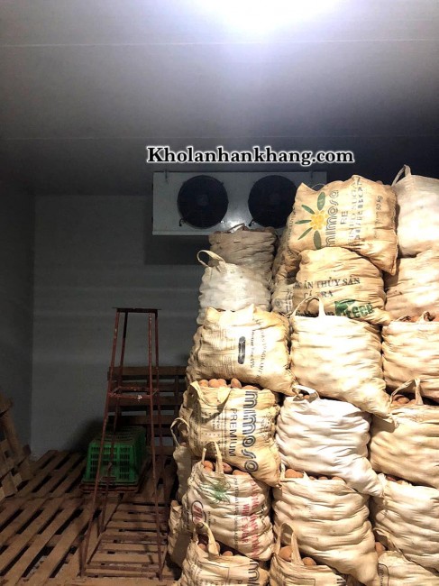 kho lạnh bảo quản khoai tây cung cấp cho siêu thị, chợ đầu mối