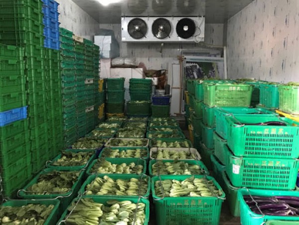 kho lạnh bảo quản rau củ cung cấp cho chợ đầu mối