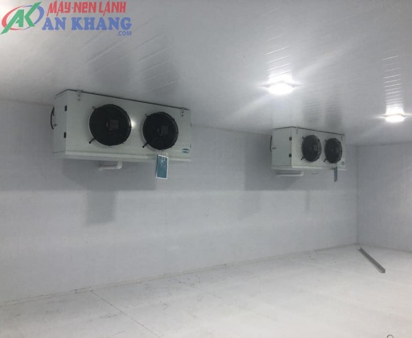 Kho lạnh trữ trái bơ giá hấp dẫn gọi ngay 0947459479