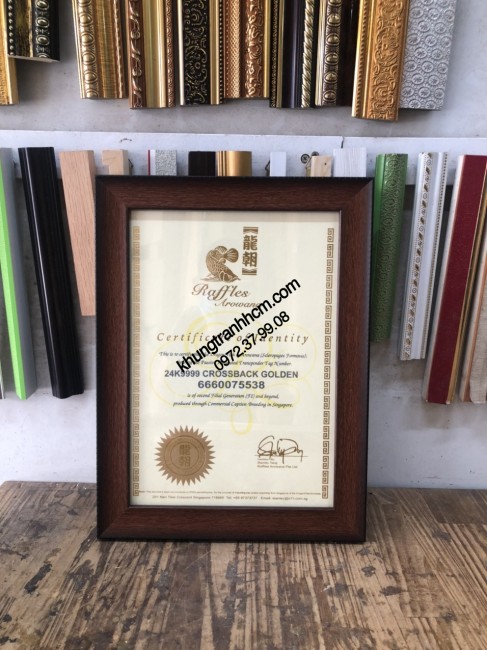Khung bằng khen, giấy khen giá rẻ | 097 237 9908