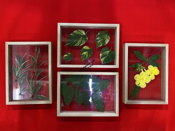 Khung tranh gỗ decor giá sỉ - 097 237 9908