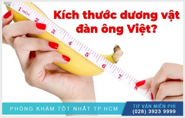 Kích thước dương vật đàn ông Việt Nam
