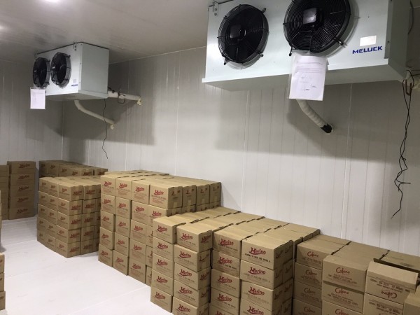 lắp đặt kho đông lạnh trữ kem các loại