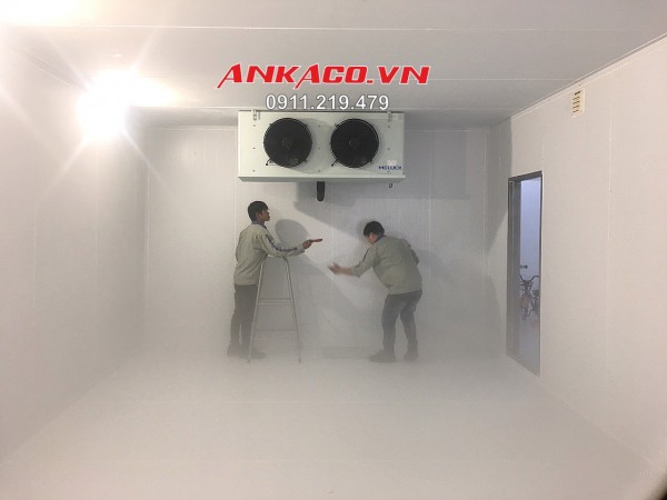Lắp đặt kho lạnh bảo quản hoa tươi chuẩn bị cho dịp lễ, tết