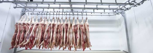 Lắp đặt kho lạnh bảo quản thịt heo sau chế biến