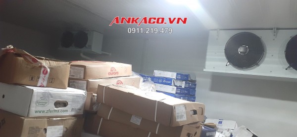 Lắp đặt kho lạnh bảo quản thủy hải sản