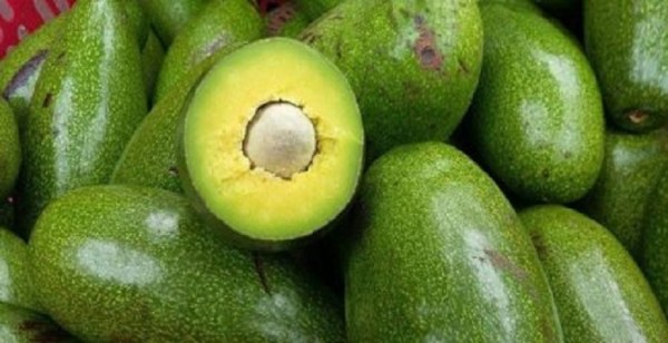  Lắp đặt kho lạnh bảo quản trái bơ tận nơi
