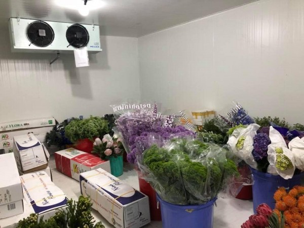 lắp đặt, sửa chữa kho lạnh bảo quản hoa tươi tại Đà lạt