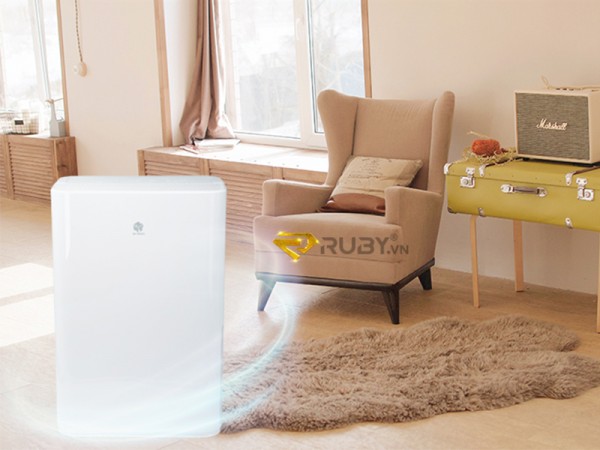 Lợi ích của máy hút ẩm với cuộc sống