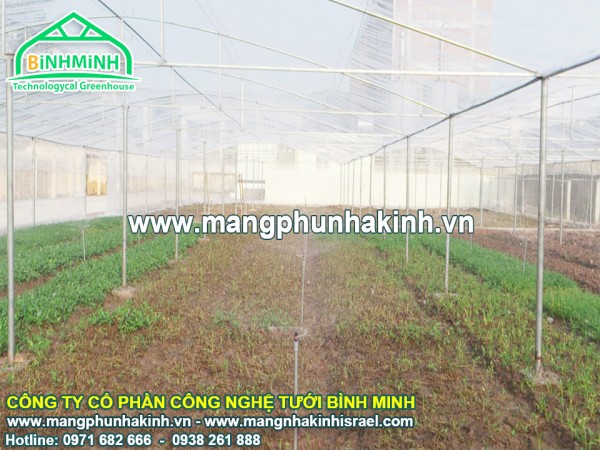 Lưới chắn côn trùng nhà kính, lưới làm nhà lưới, cách làm nhà lưới đơn giản, nhà lưới nhà màng