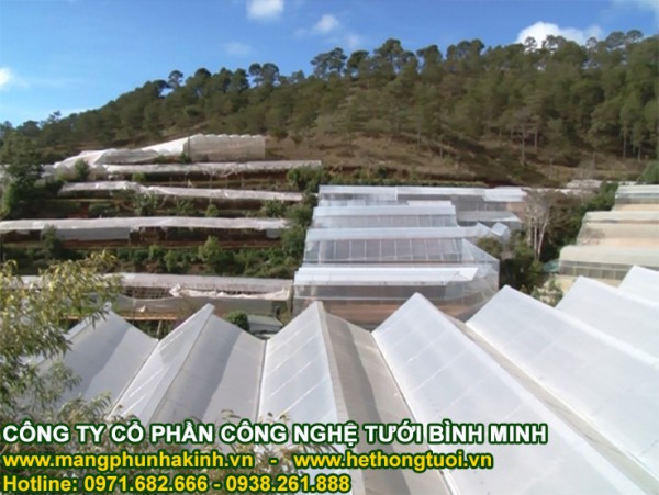 Lưới chắn côn trùng nông nghiệp, nhà lưới politiv israel, lưới chắn côn trùng hà nội nhà lưới mini