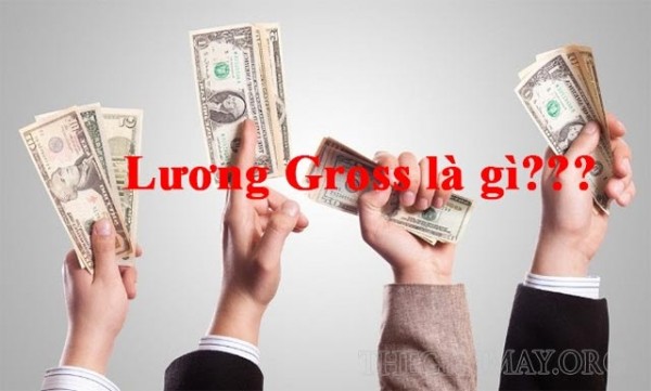 lương gross và lương net khá nhau thế nào?