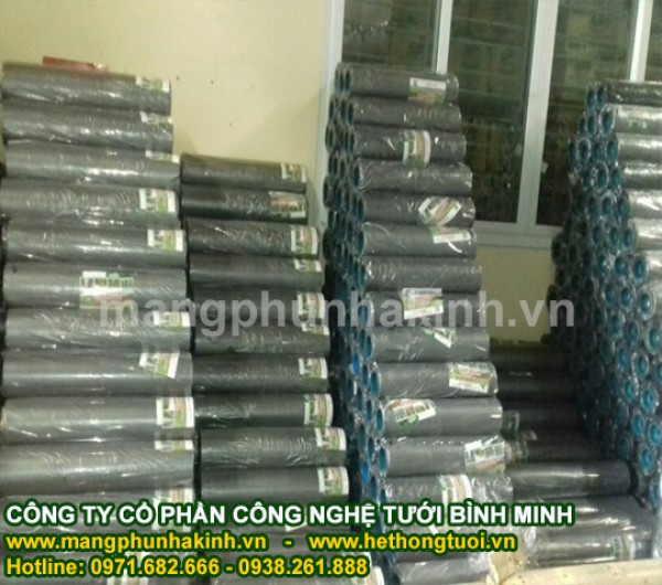Màng LDPE che phủ nông nghiệp,sử dụng màng phủ nông nghiệp trong sản xuất rau