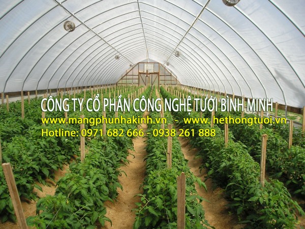 Màng nhà kính,màng phủ nhà kính,vật tư nhà kính, thiết bị  nhà kính, nhà kính nông nghiệp