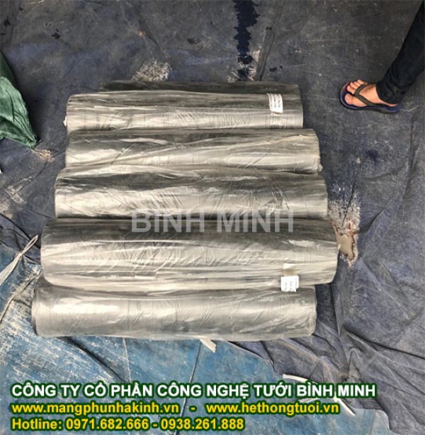 Màng phủ nông nghiệp, màng phủ luống, màng phủ đất, màng phủ trồng dưa