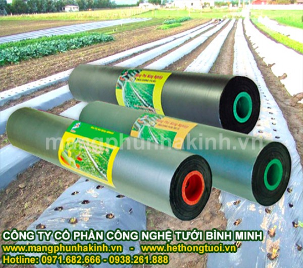 Màng phủ nông nghiệp, màng phủ sinh học, màng nilon phủ đất, giá màng phủ nông nghiệp