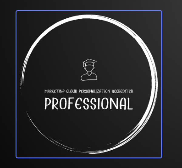 Marketing Cloud Personalization Accredited Professional   Insight into customer's