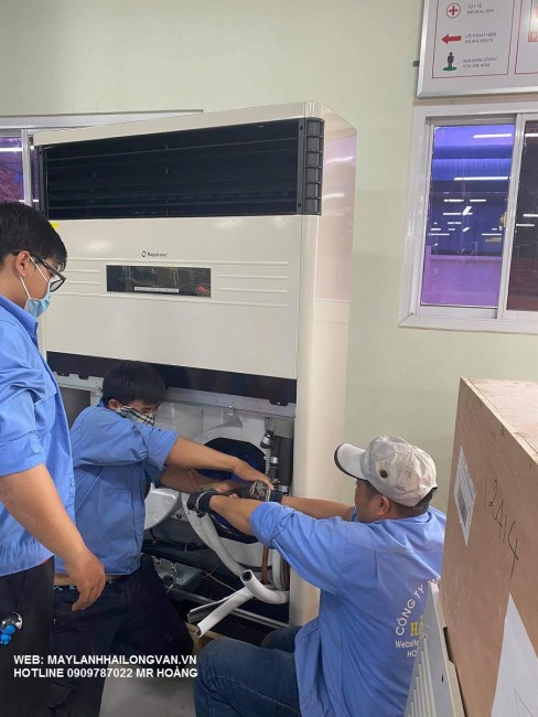 Máy lanh tủ đứng Reetech 10hp (10 ngựa) được đánh giá cao vì sao?