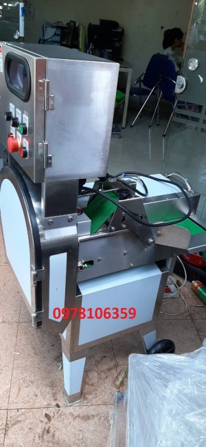 Máy thái lát sả cây, máy cắt sả công nghiệp, máy bào sả, máy thái sả  SH125