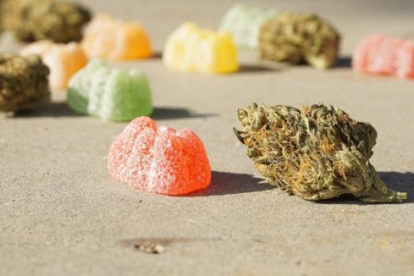 Mayim Bialik CBD Gummies :Reviews, Scam Or Legit?