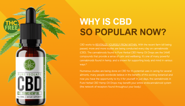 Mayim Bialik CBD Oil Is So Famous, But Why?