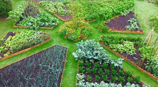 Mê mẩn nét đẹp yên bình của khu vườn xanh tươi