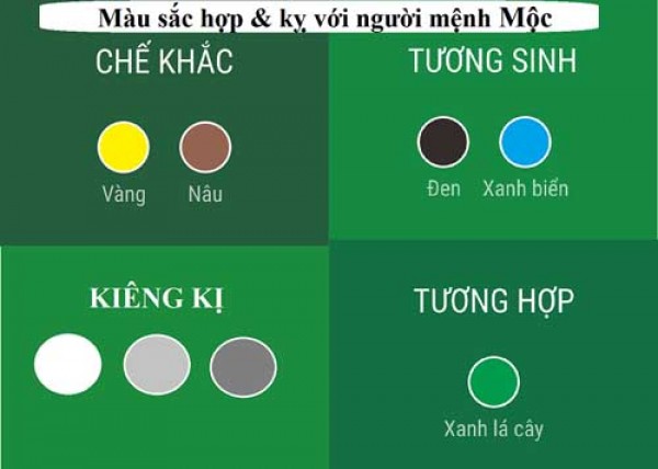 Mệnh Mộc hợp màu gì? Thiết kế nội thất cho người mệnh Mộc 2021