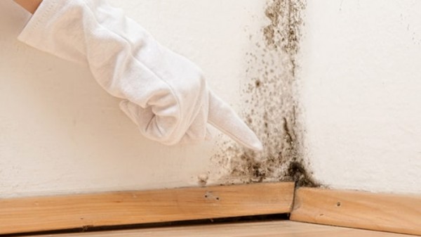 Mẹo xử lý độ ẩm trong nhà hiệu quả