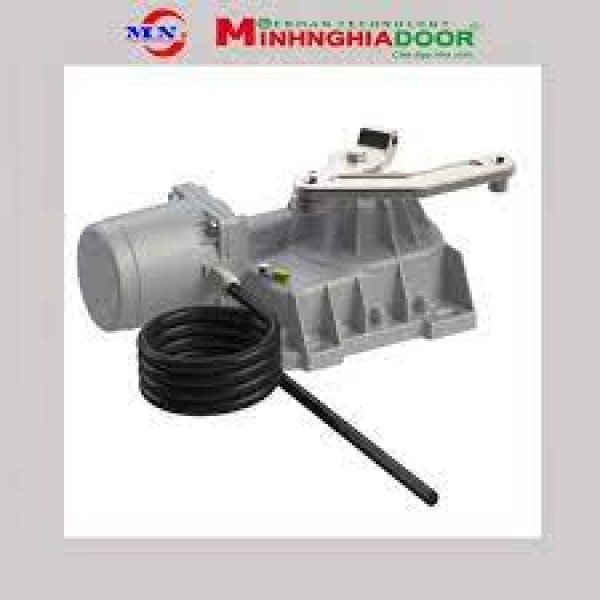 Motor Cổng Roger