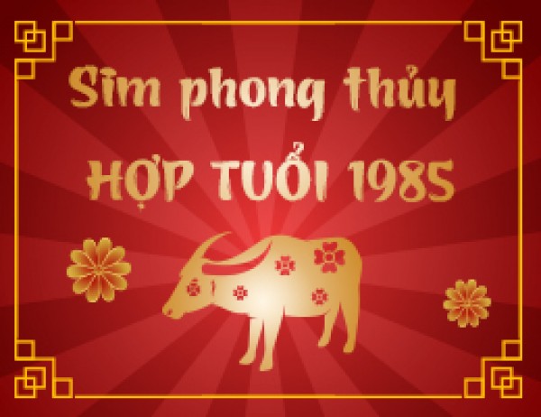 Mua số điện thoại hợp tuổi 1985 tại Vĩnh Long của Kho simphongthuy.vn